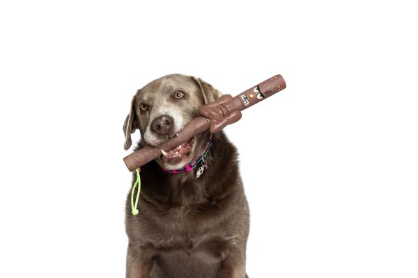 DOOG Family Stick Neu - Uncle Chuck DOOG Family Stick Neu - Uncle Chuck